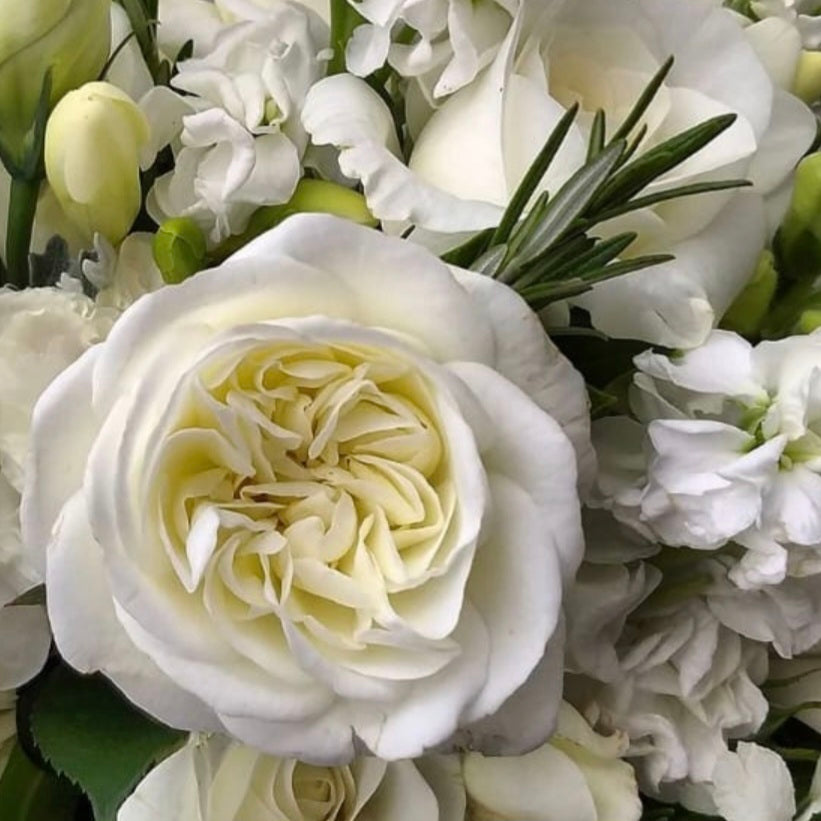 The Wedding Rose