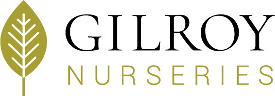 GILROY NURSERIES